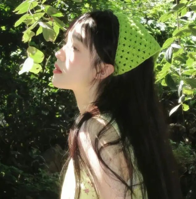 奔驰的大葱
